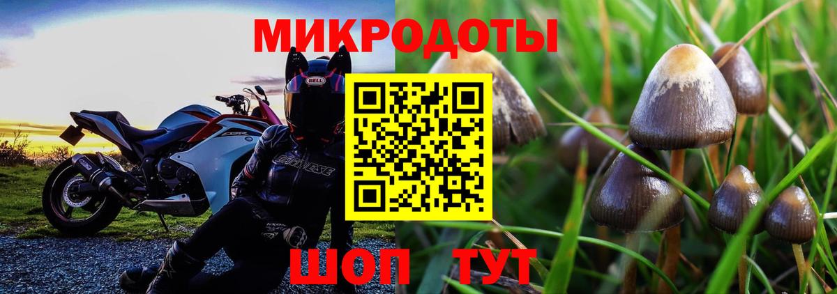 Кстово  купить наркотики сайты  Вход с VPN  Псилоцибиновые грибы Cubensis 